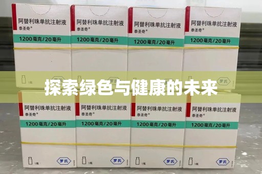 衡阳探索绿色与健康的未来