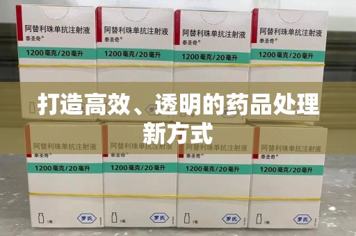 衡阳打造高效、透明的药品处理新方式