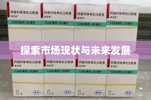 衡阳探索市场现状与未来发展