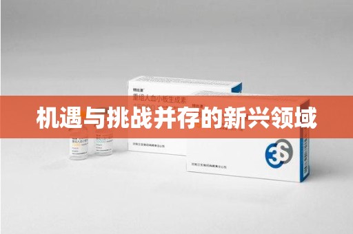 衡阳机遇与挑战并存的新兴领域