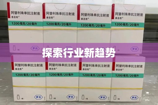 衡阳探索行业新趋势
