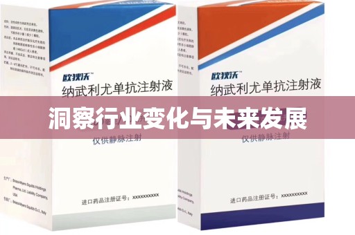 衡阳洞察行业变化与未来发展