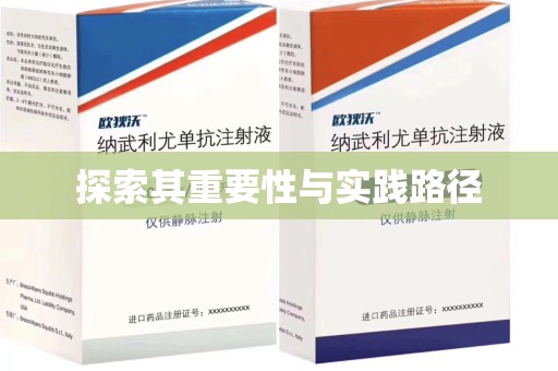 衡阳探索其重要性与实践路径