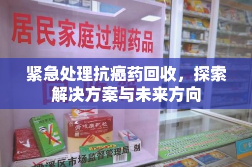衡阳紧急处理抗癌药回收，探索解决方案与未来方向
