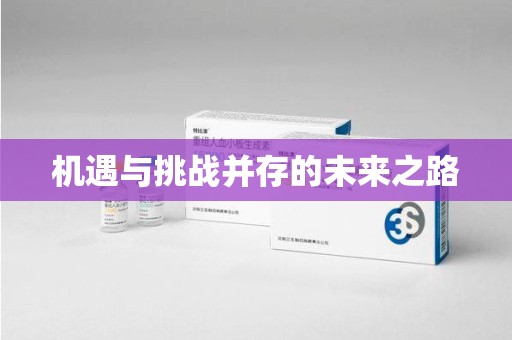 衡阳机遇与挑战并存的未来之路