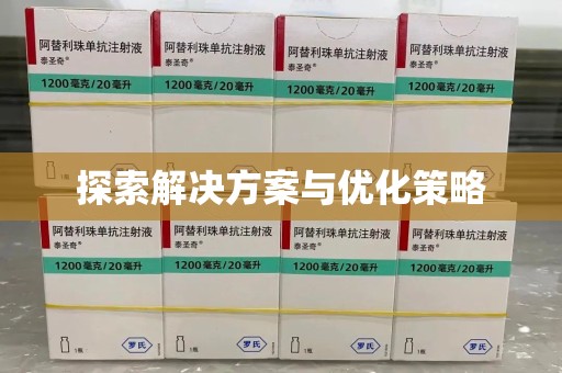 衡阳探索解决方案与优化策略