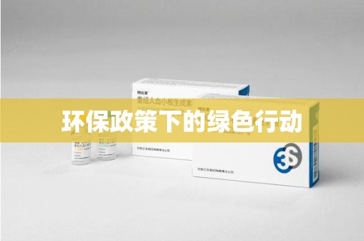衡阳环保政策下的绿色行动