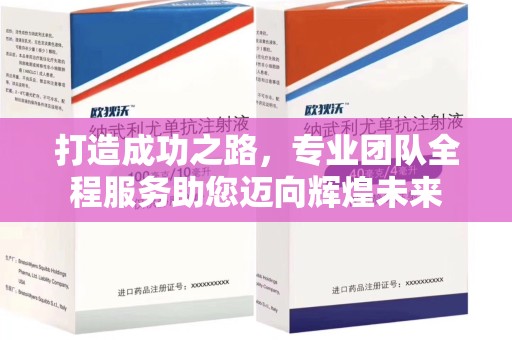 衡阳打造成功之路，专业团队全程服务助您迈向辉煌未来