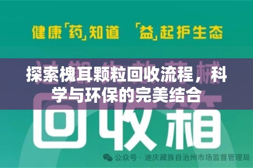 衡阳探索槐耳颗粒回收流程，科学与环保的完美结合