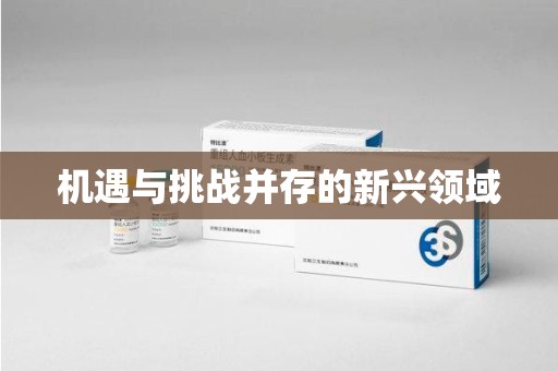 衡阳机遇与挑战并存的新兴领域
