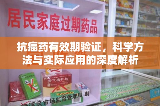 衡阳抗癌药有效期验证，科学方法与实际应用的深度解析