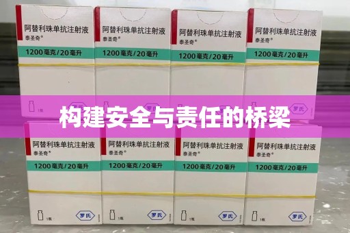 衡阳构建安全与责任的桥梁