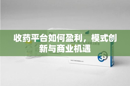 衡阳收药平台如何盈利，模式创新与商业机遇