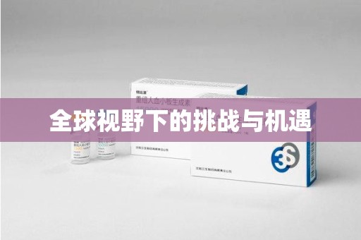 衡阳全球视野下的挑战与机遇
