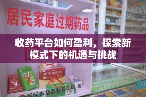 衡阳收药平台如何盈利，探索新模式下的机遇与挑战