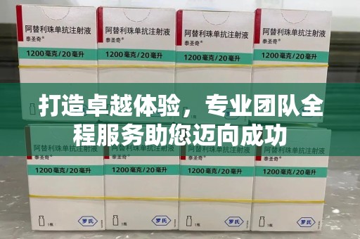 衡阳打造卓越体验，专业团队全程服务助您迈向成功
