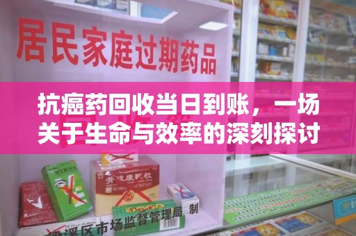 衡阳抗癌药回收当日到账，一场关于生命与效率的深刻探讨