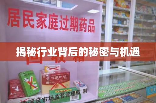 衡阳揭秘行业背后的秘密与机遇